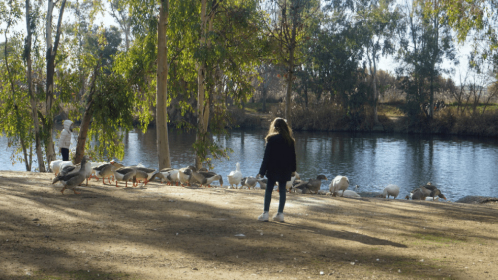 Parque Tierno Galván de San Martín de la Vega